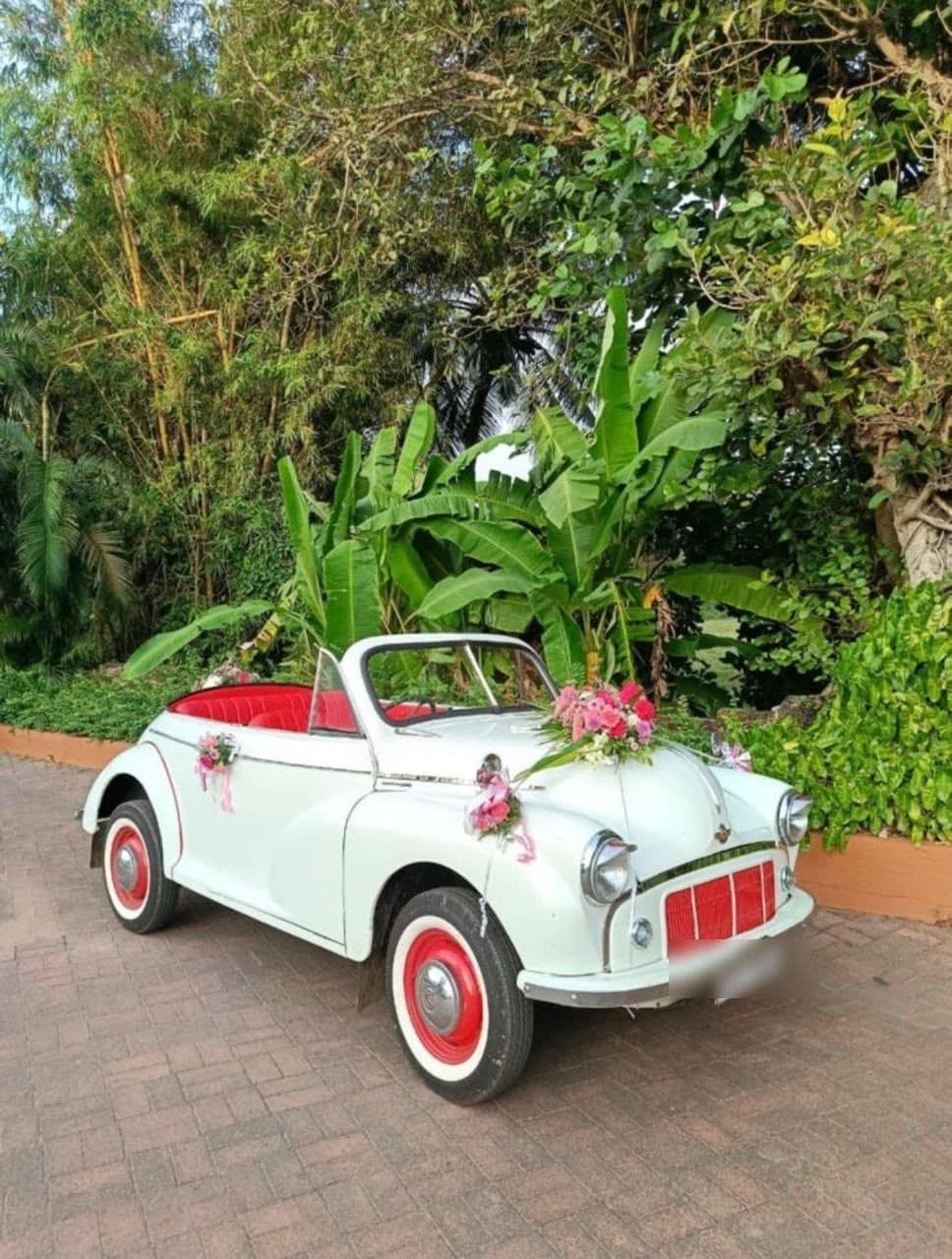 Vintage Mini Morris — White Open Hood